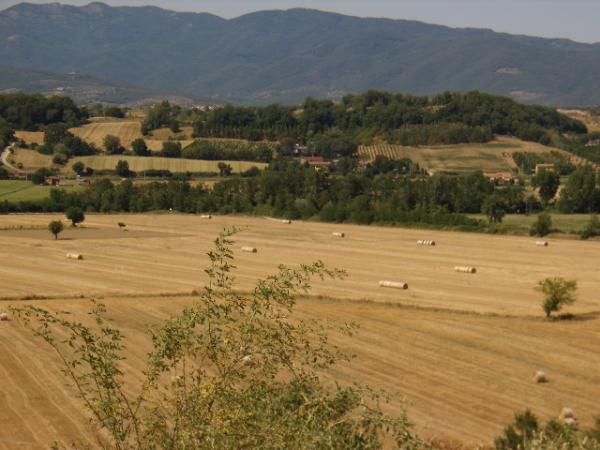 after the harvest