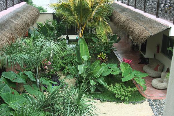 Above garden view
