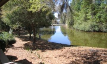 Johns Island, South Carolina, Vacation Rental House