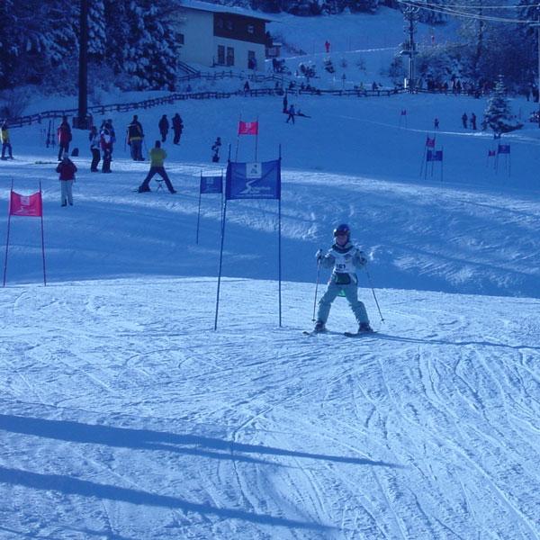Activities on Snow