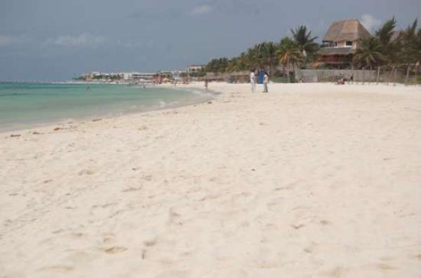 Beach View
