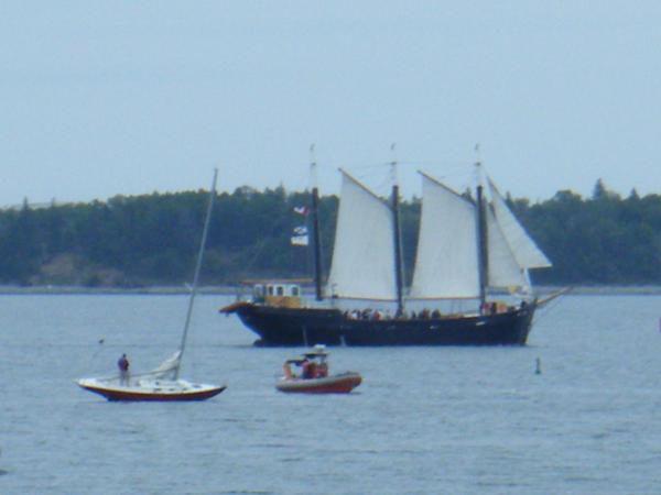 Tall Ships