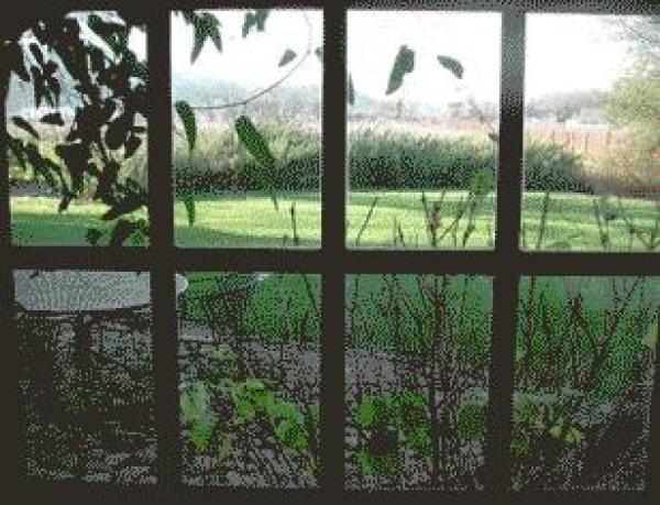 Guest House Exterior