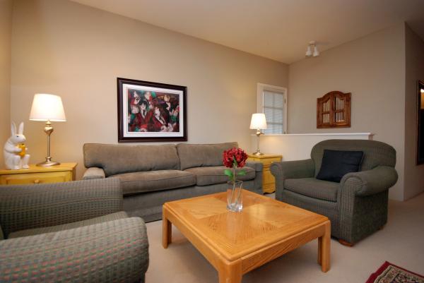 Large bright Living Room