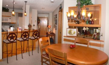 Steamboat Springs, Colorado, Vacation Rental Condo