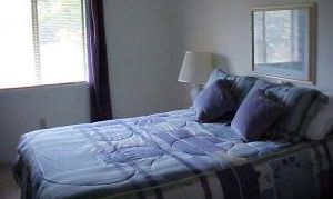 &nbsp;