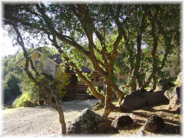The Front of the House and Drive