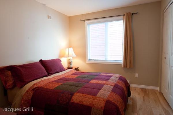 Great Blue Heron - Bedroom