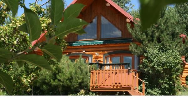 House View from Garden