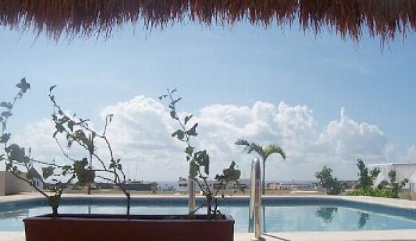 Plunge-in the Rooftop Pool!