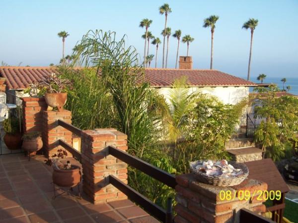 Patio View