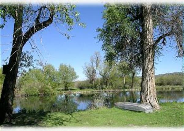 The pond out front with a small boat