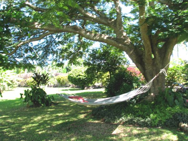 Enjoy A Nap on Hammock