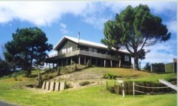 Whangapoua, Coromandel, Vacation Rental House