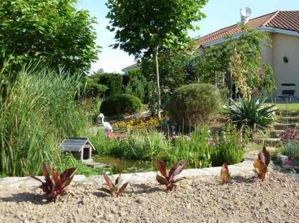 Walking Path in Garden