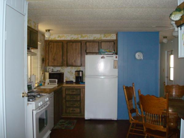 Kitchen New Fridge