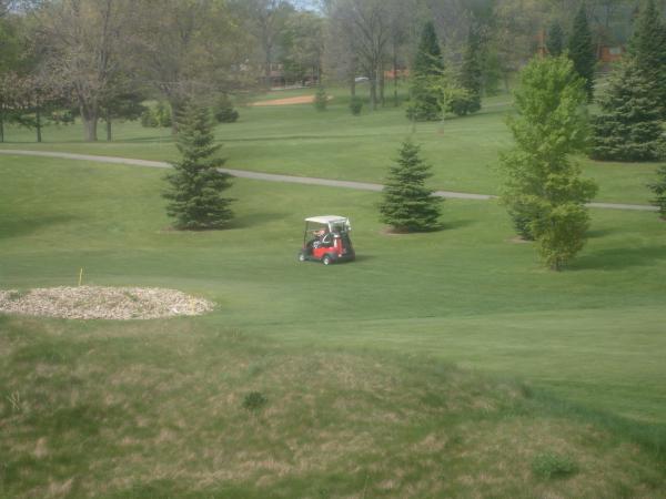 Golfers in cart