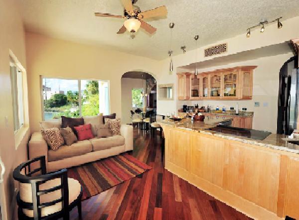 Living Area and Kitchen