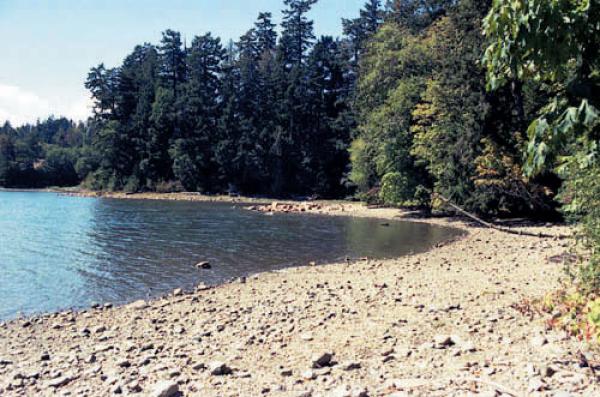 Close to the tranquil beaches of Mill Bay