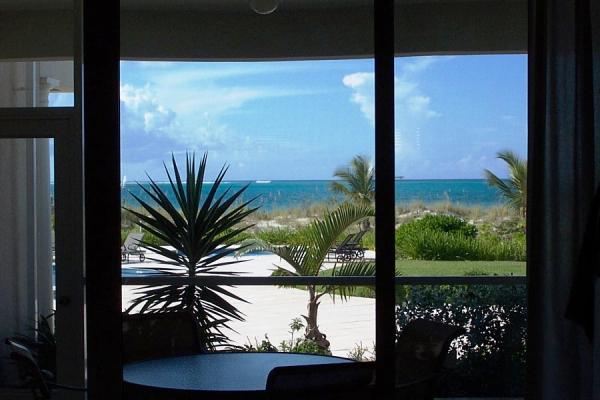 View from Dining Patio