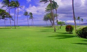 Kihei, Hawaii, Vacation Rental Condo