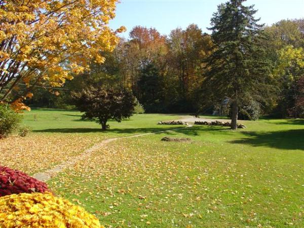View of front yard from the porch in fall