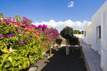 Garden and Off Street Parking