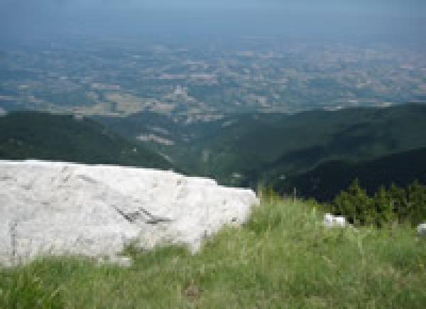 Beautiful View
