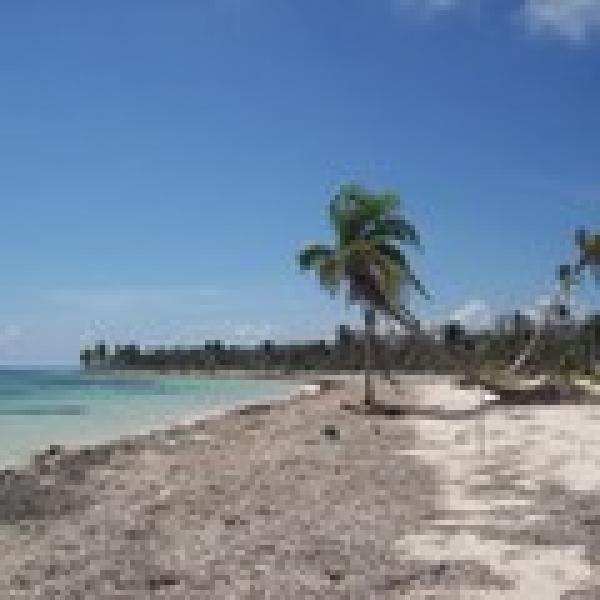Secluded Beach