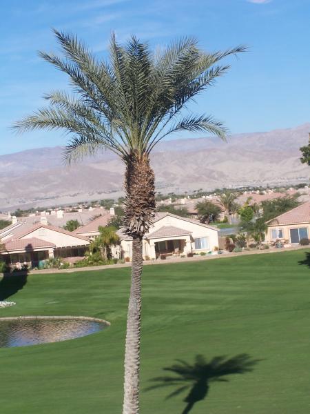 Golf Course view