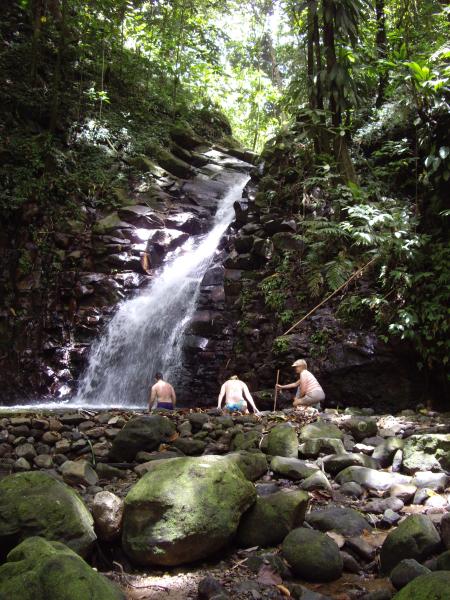 Rainforest Waterfall