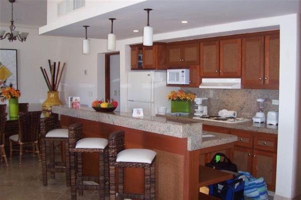 Penthouse Kitchen