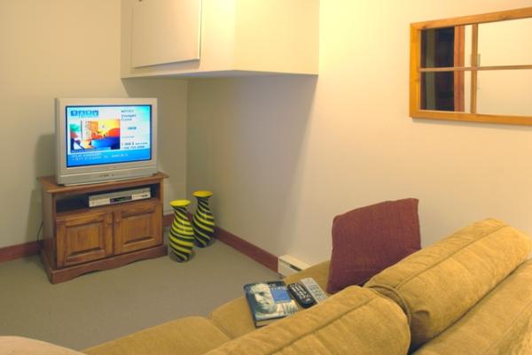 Den with Twin Sofa Bed