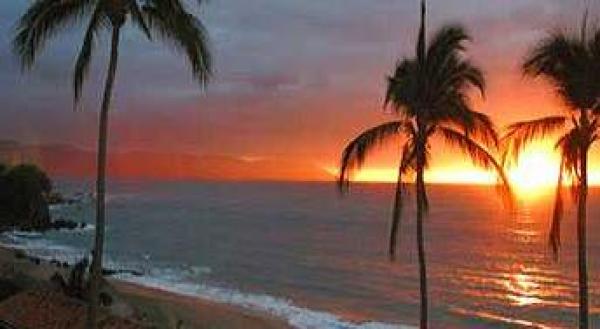 Sunset View
