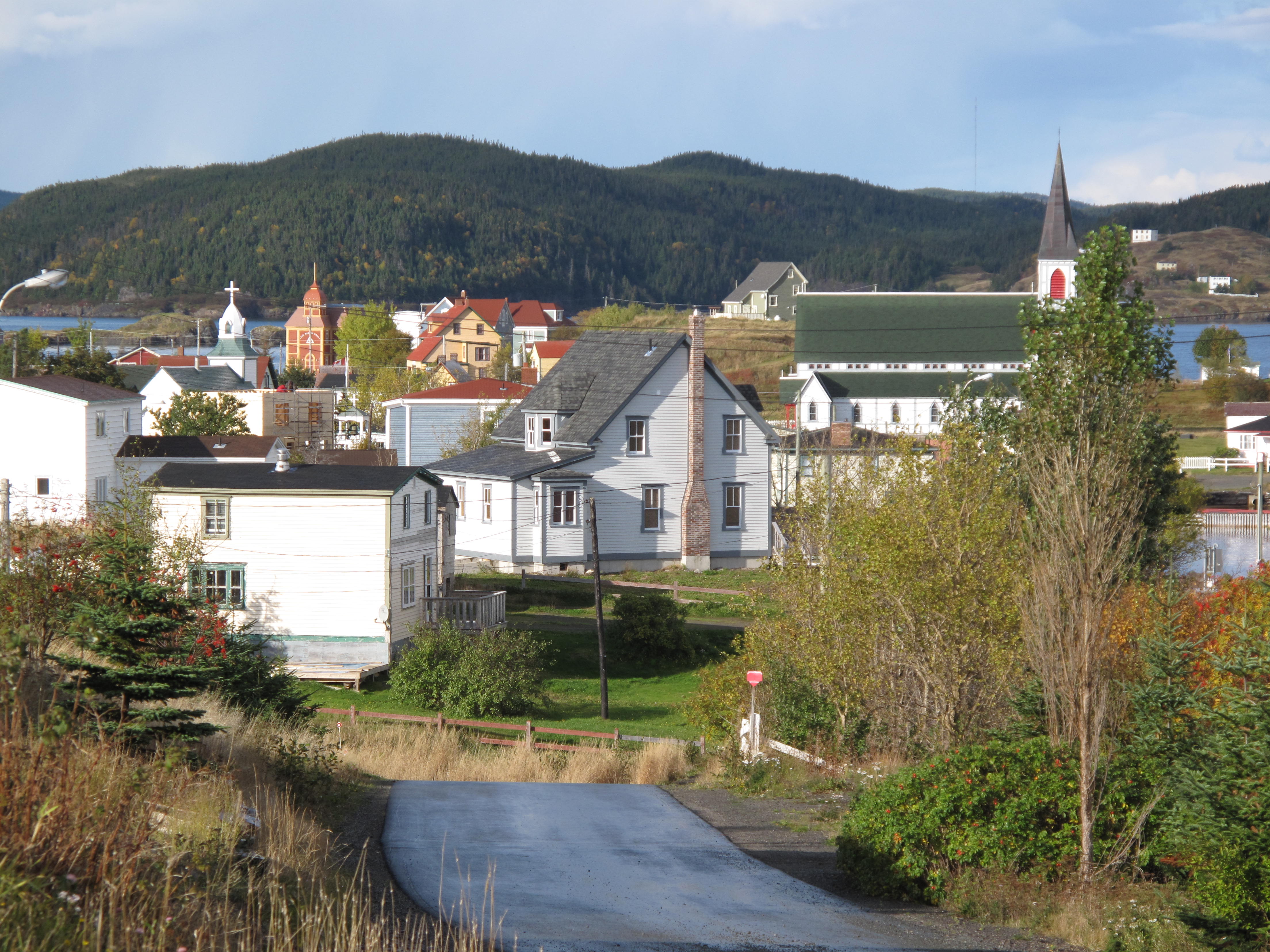 View of Trinity village from Harbour House