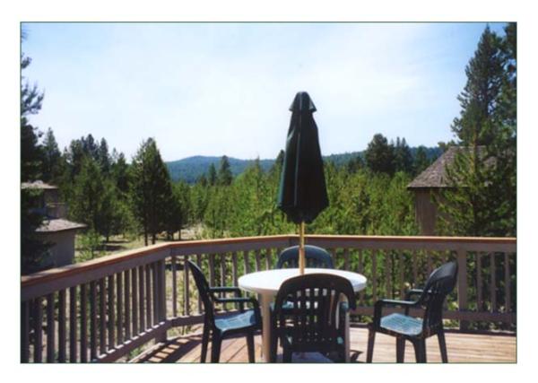 View from Balcony