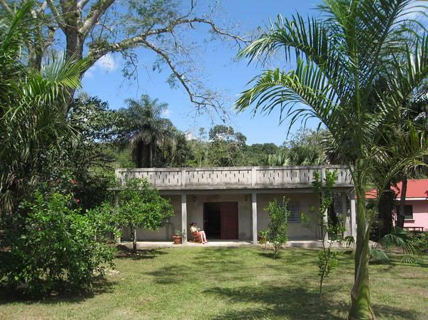 Large Front Yard with Fruit, Palm, and Guanacaste 