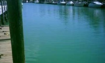 Key Colony Beach, Florida, Vacation Rental House
