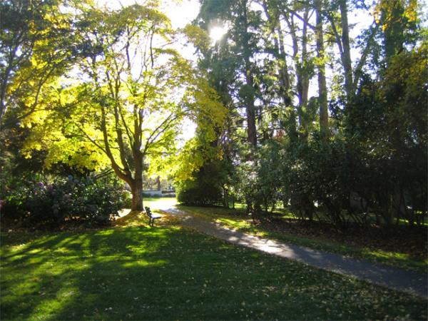 Nearby Beacon Hill Park
