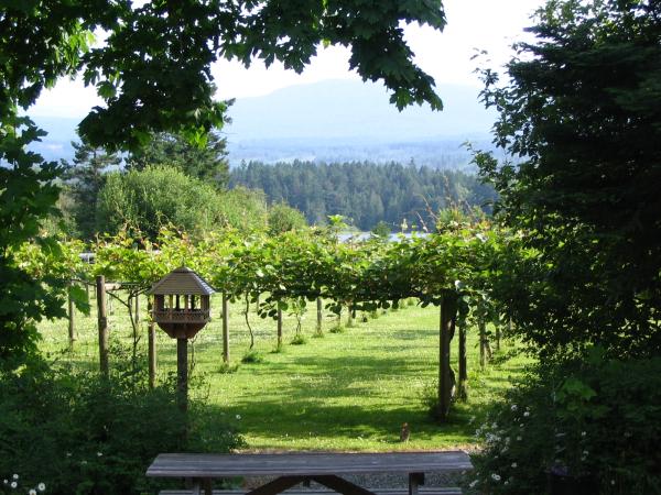 A small kiwi farm is on the property