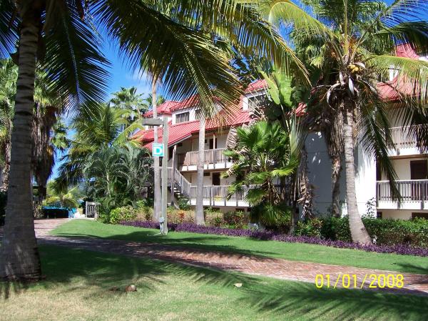 Back View of D Building