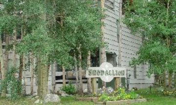 Breckenridge, Colorado, Vacation Rental Condo