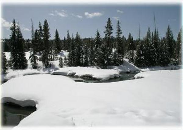 A peaceful winter view of Beaver Creek