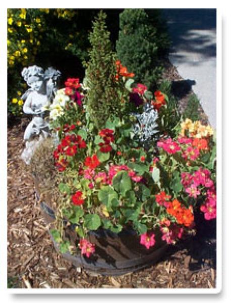 Garden