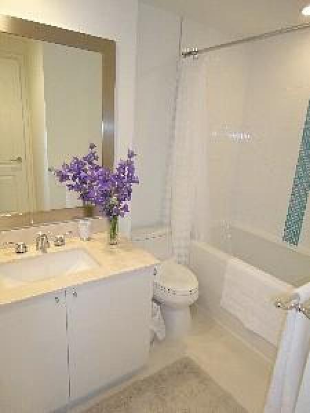 Bathroom with bathtub and shower (towels provided)
