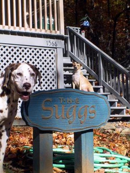 Pet Friendly