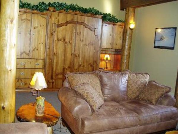 Murphy/Wall Bed in Living Room Area