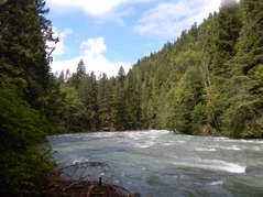 Nooksack river