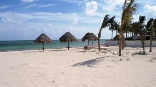 Beach View