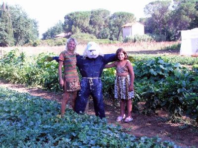 The organic free vegetable garden